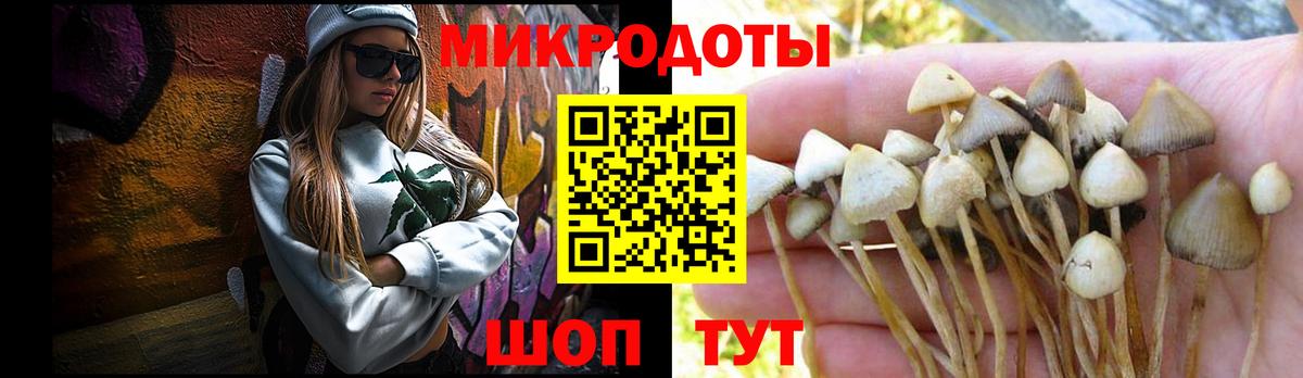 Елабуга  Галлюциногенные грибы мицелий  Вход с VPN  закладки  Галлюциногенные грибы прущие грибы 